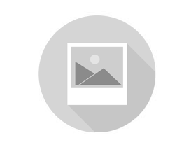 Alimento para perros | Mis productos | Club Can